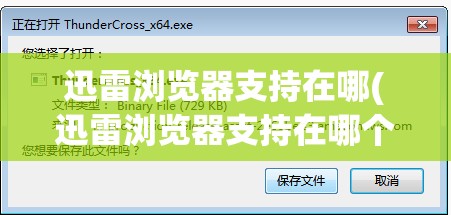 迅雷浏览器支持在哪(迅雷浏览器支持在哪个文件夹)