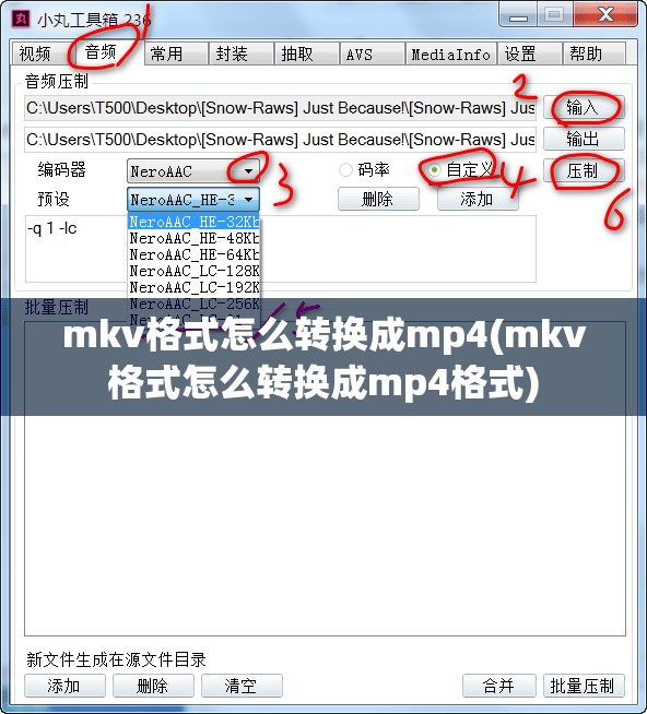 mkv格式怎么转换成mp4(mkv格式怎么转换成mp4格式)