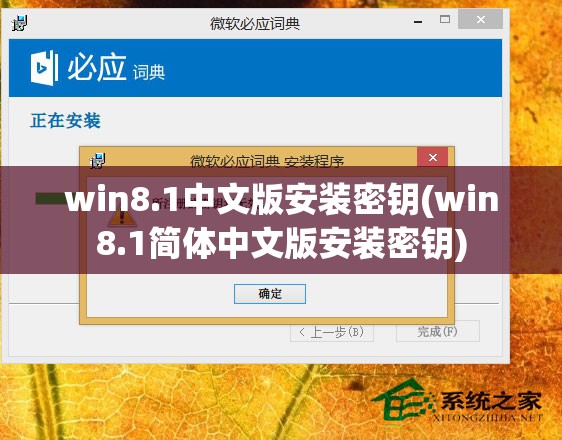 win8.1中文版安装密钥(win8.1简体中文版安装密钥)