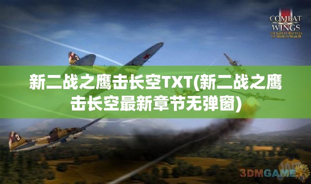 新二战之鹰击长空TXT(新二战之鹰击长空最新章节无弹窗)