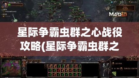 星际争霸虫群之心战役攻略(星际争霸虫群之心战役攻略大全)