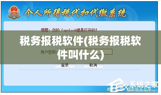 税务报税软件(税务报税软件叫什么)