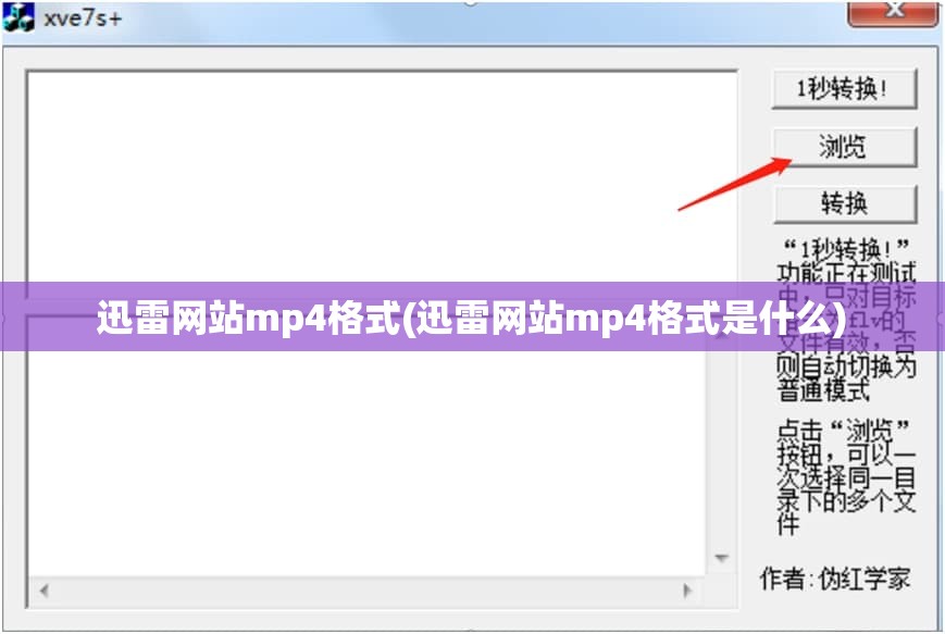 迅雷网站mp4格式(迅雷网站mp4格式是什么)