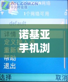 诺基亚手机浏览器网页打不开怎么办(诺基亚手机浏览器网页打不开怎么办呢)