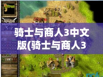 骑士与商人3中文版(骑士与商人3中文版下载)