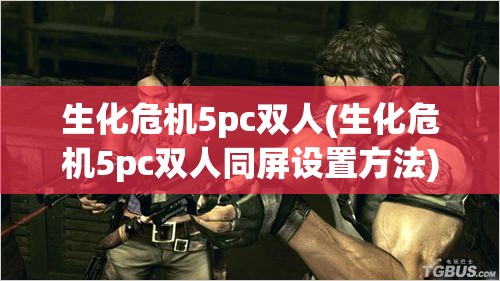 生化危机5pc双人(生化危机5pc双人同屏设置方法)