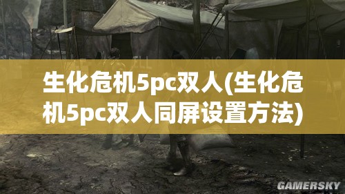 生化危机5pc双人(生化危机5pc双人同屏设置方法)