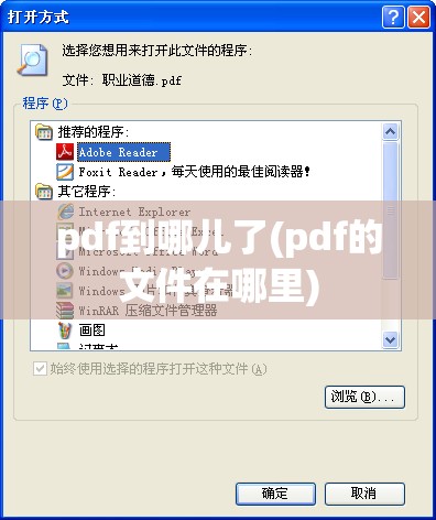 pdf到哪儿了(pdf的文件在哪里)