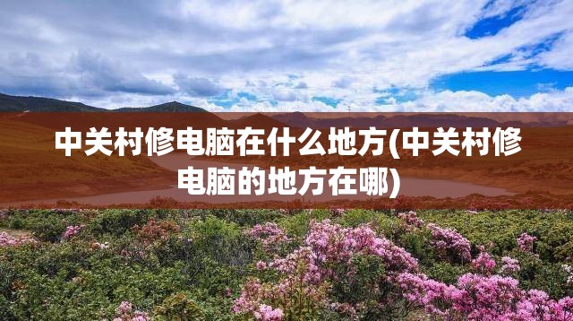 中关村修电脑在什么地方(中关村修电脑的地方在哪)