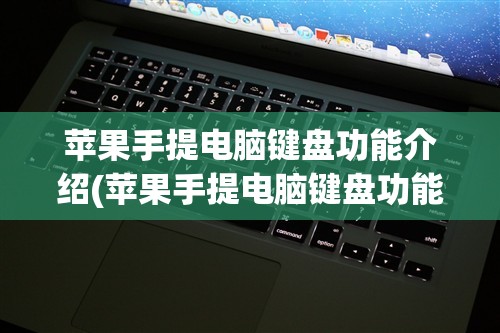 苹果手提电脑键盘功能介绍(苹果手提电脑键盘功能介绍视频)