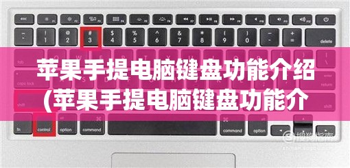 苹果手提电脑键盘功能介绍(苹果手提电脑键盘功能介绍视频)