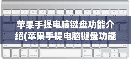 苹果手提电脑键盘功能介绍(苹果手提电脑键盘功能介绍视频)