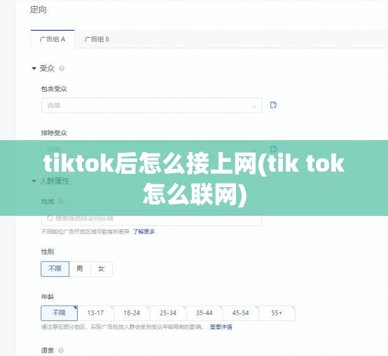 tiktok后怎么接上网(tik tok怎么联网)