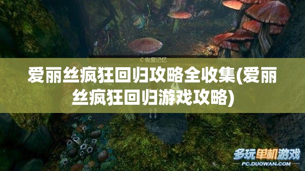 爱丽丝疯狂回归攻略全收集(爱丽丝疯狂回归游戏攻略)