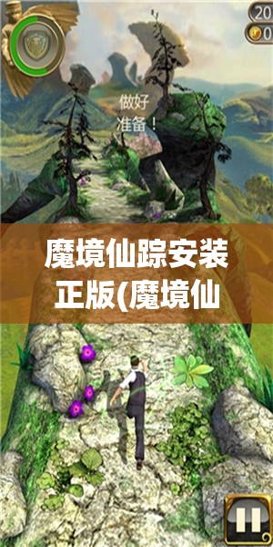 魔境仙踪安装正版(魔境仙踪安装包)