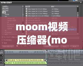 moom视频压缩器(mooo视频压缩器)