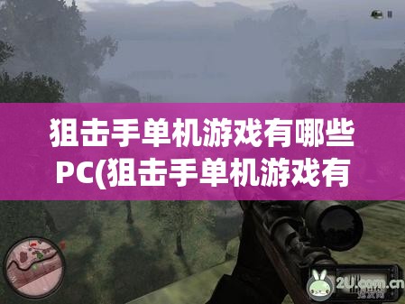 狙击手单机游戏有哪些PC(狙击手单机游戏有哪些?)