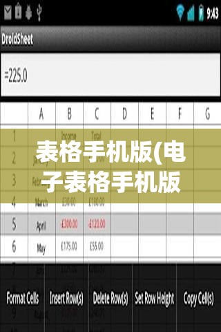 表格手机版(电子表格手机版)