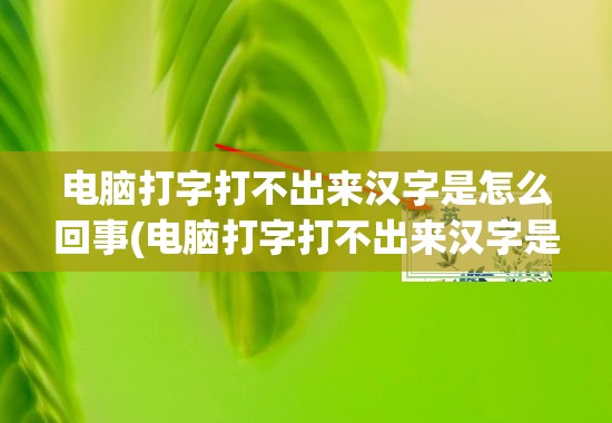 电脑打字打不出来汉字是怎么回事(电脑打字打不出来汉字是怎么回事呢)