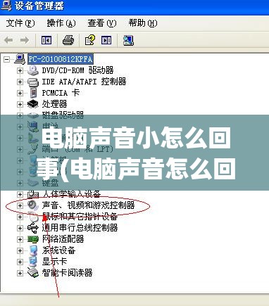电脑声音小怎么回事(电脑声音怎么回事没声音)