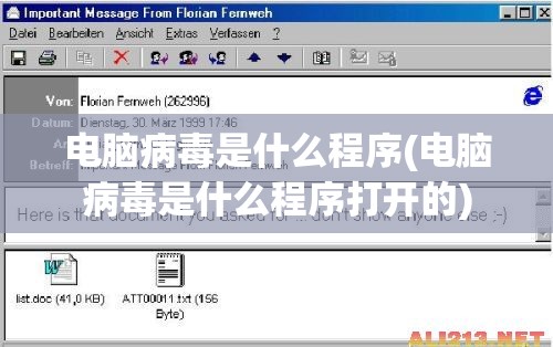 电脑病毒是什么程序(电脑病毒是什么程序打开的)