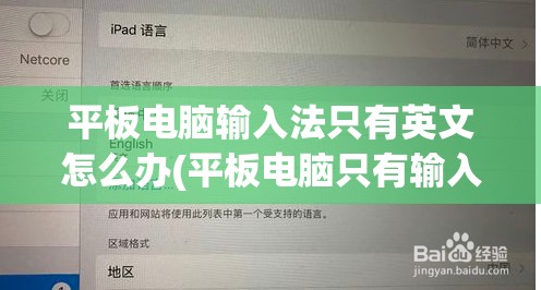 平板电脑输入法只有英文怎么办(平板电脑只有输入法,打不了字 ,怎么办)