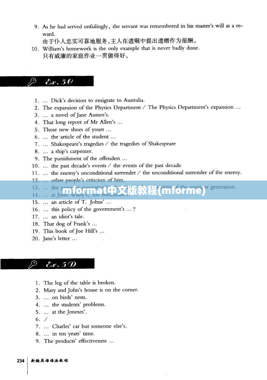 mformat中文版教程(mforme)