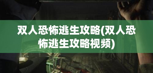 双人恐怖逃生攻略(双人恐怖逃生攻略视频)