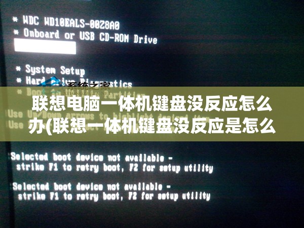 联想电脑一体机键盘没反应怎么办(联想一体机键盘没反应是怎么回事)