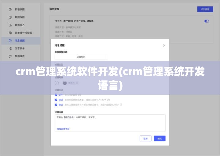 crm管理系统软件开发(crm管理系统开发语言)