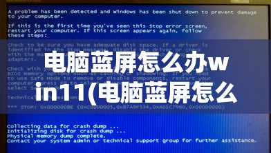 电脑蓝屏怎么办win11(电脑蓝屏怎么办win7旗舰版)