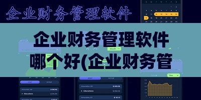 企业财务管理软件哪个好(企业财务管理软件哪个好)