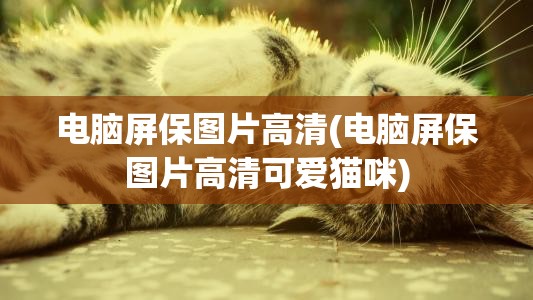 电脑屏保图片高清(电脑屏保图片高清可爱猫咪)