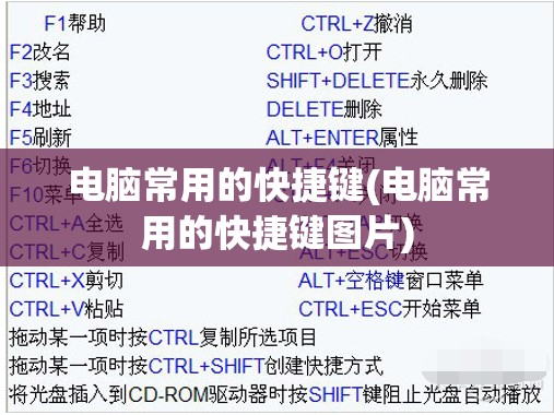 电脑常用的快捷键(电脑常用的快捷键图片)