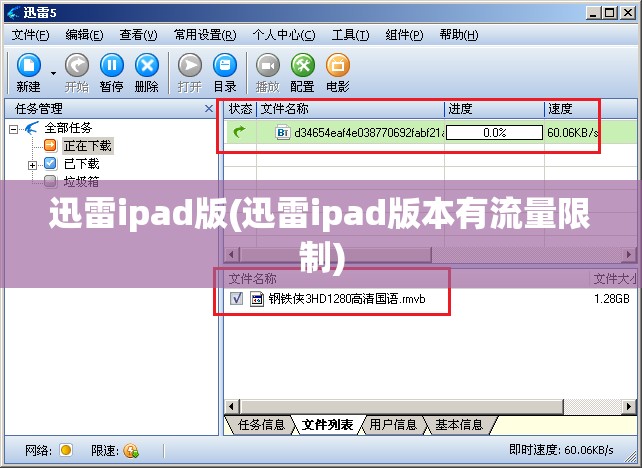 迅雷ipad版(迅雷ipad版本有流量限制)