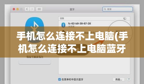 手机怎么连接不上电脑(手机怎么连接不上电脑蓝牙)