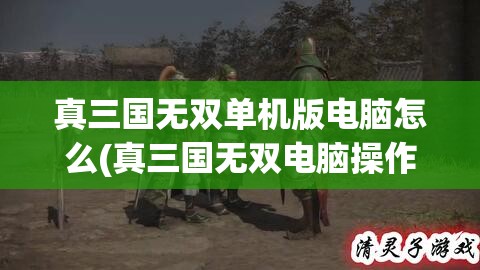 真三国无双单机版电脑怎么(真三国无双电脑操作)