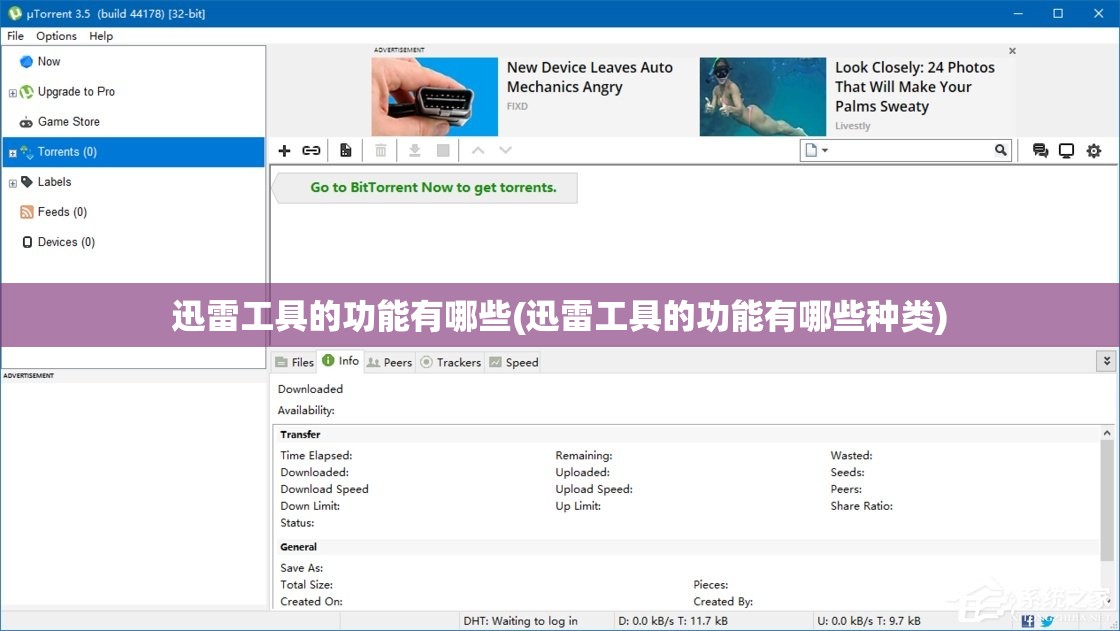 迅雷工具的功能有哪些(迅雷工具的功能有哪些种类)
