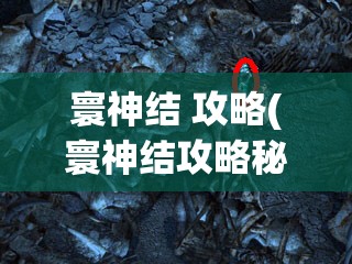 寰神结 攻略(寰神结攻略秘籍)