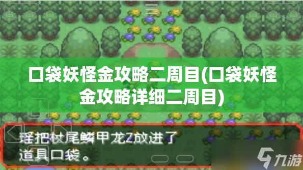 口袋妖怪金攻略二周目(口袋妖怪金攻略详细二周目)