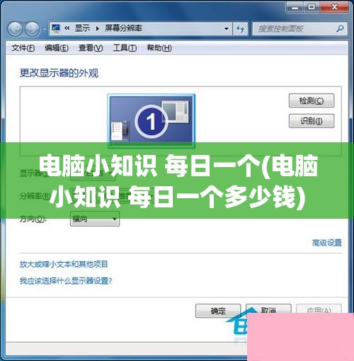 电脑小知识 每日一个(电脑小知识 每日一个多少钱)