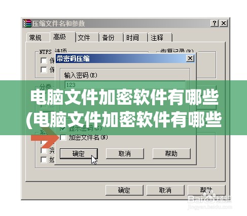 电脑文件加密软件有哪些(电脑文件加密软件有哪些名字)