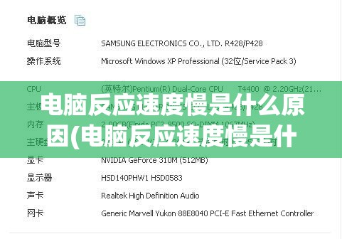 电脑反应速度慢是什么原因(电脑反应速度慢是什么原因引起的)