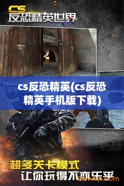 cs反恐精英(cs反恐精英手机版下载)