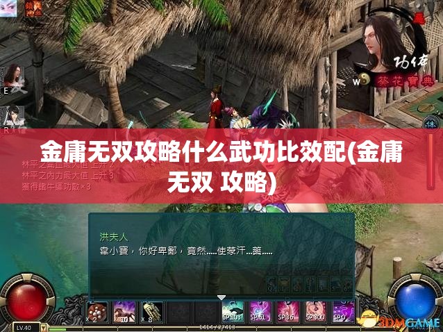 金庸无双攻略什么武功比效配(金庸无双 攻略)