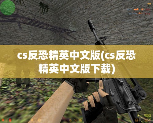 cs反恐精英中文版(cs反恐精英中文版下载)