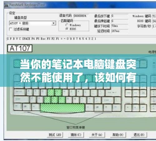当你的笔记本电脑键盘突然不能使用了，该如何有效进行故障排查和修复呢？