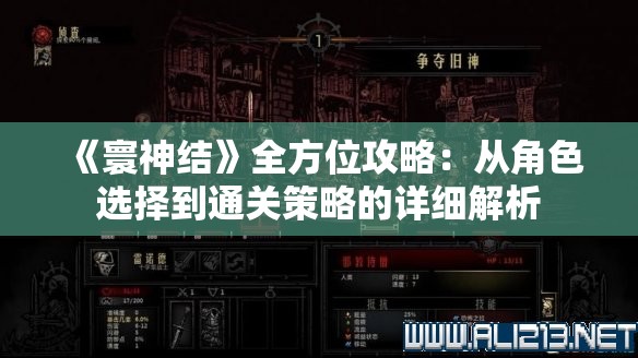 《寰神结》全方位攻略：从角色选择到通关策略的详细解析