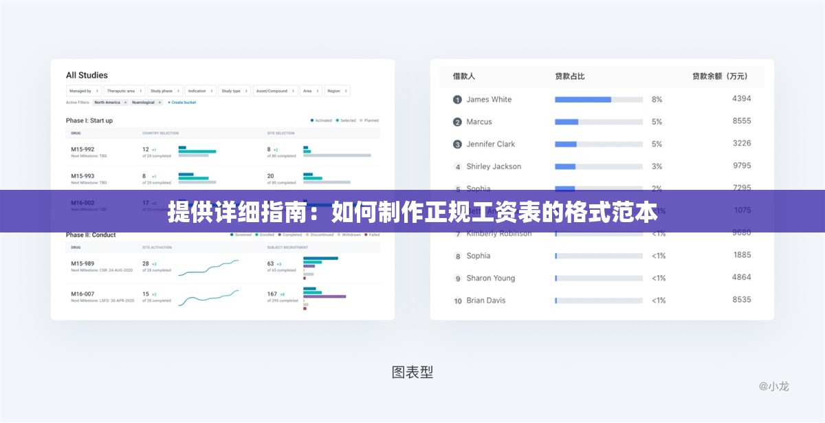 提供详细指南：如何制作正规工资表的格式范本