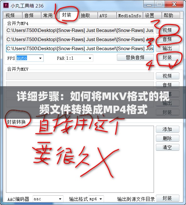 详细步骤：如何将MKV格式的视频文件转换成MP4格式